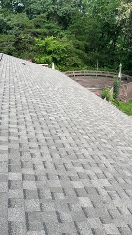 New shingle field seen from the roof over the back deck